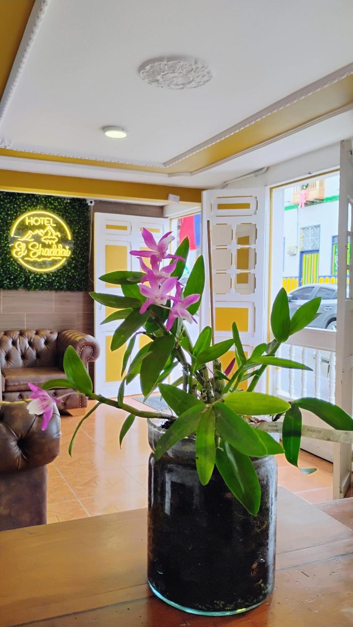 Hotel Shaddai Filandia Bagian luar foto